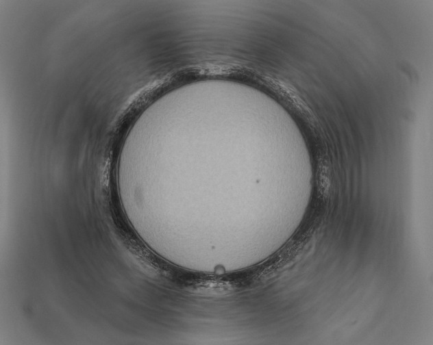 X0000112420543200909111012