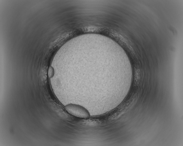 X0000112420545200909111012