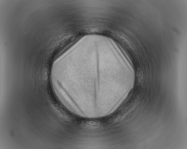 X0000112420546200909111012