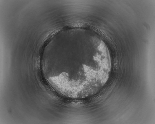 X0000112420547200909111012