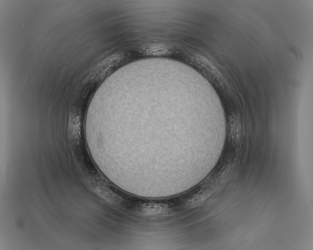 X0000112420549200909111012