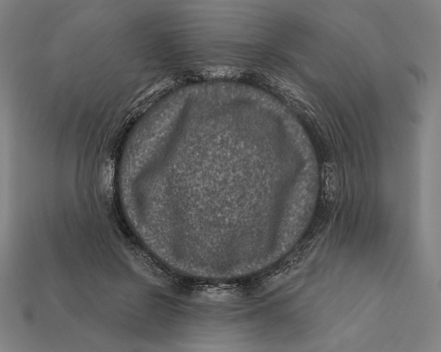 X0000112420550200909111012