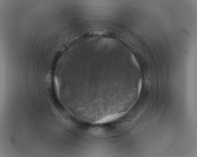 X0000112420551200909111012