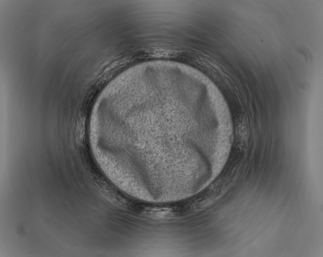 X0000112420554200909111012