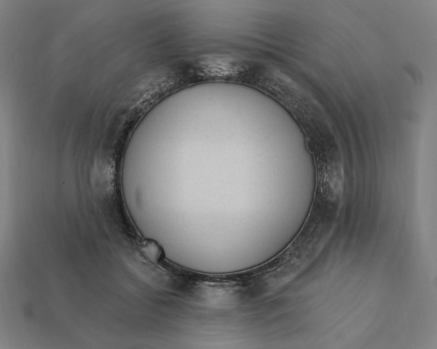 X0000112420556200909111012