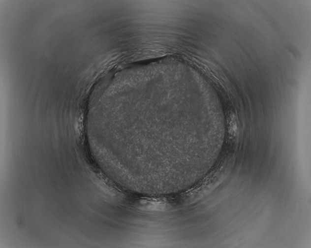 X0000112420559200909111012