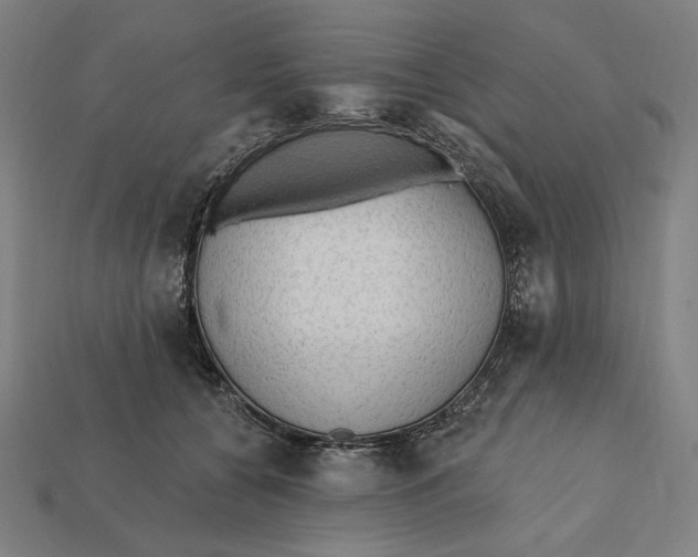 X0000112420560200909111012