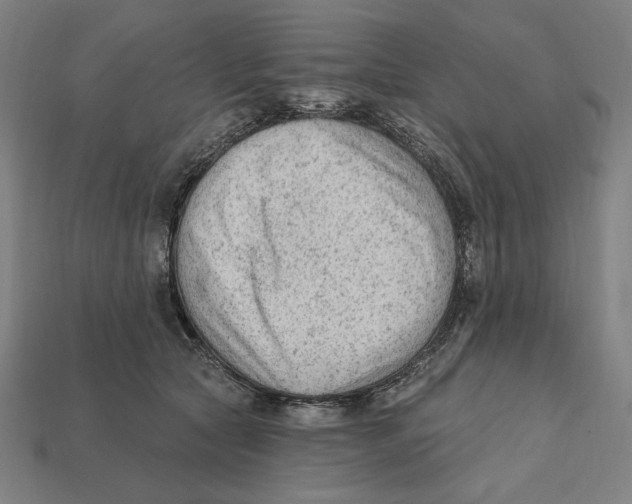 X0000112420561200909111012