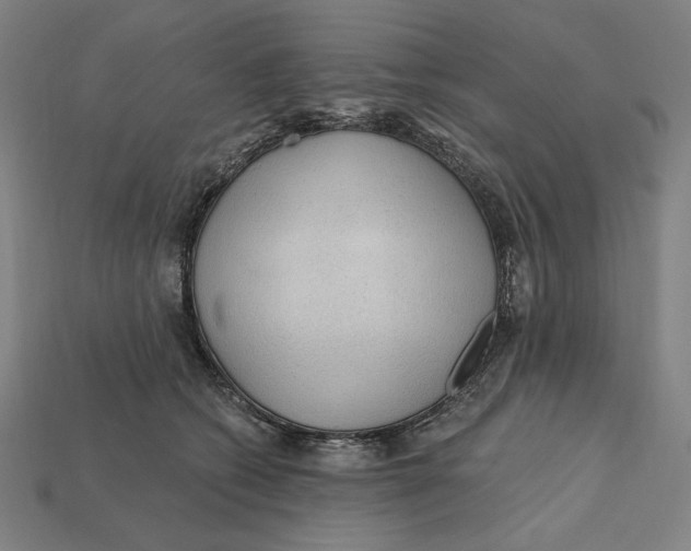 X0000112420562200909111012