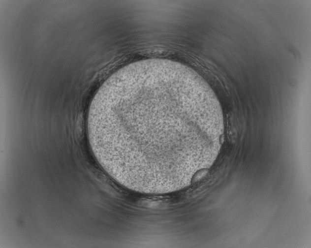 X0000112420563200909111012