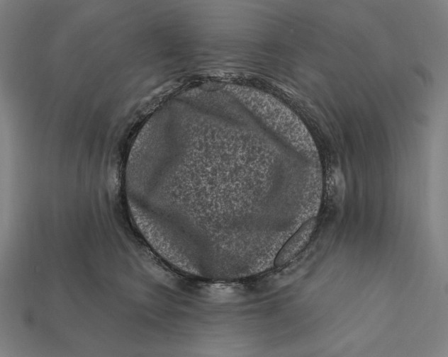 X0000112420566200909111012