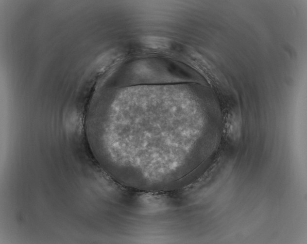 X0000112420568200909111012