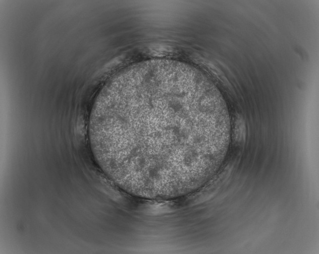 X0000112420569200909111012