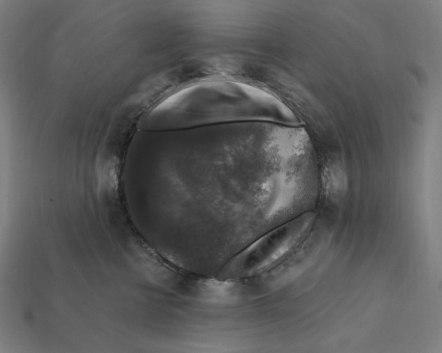 X0000112420570200909111012