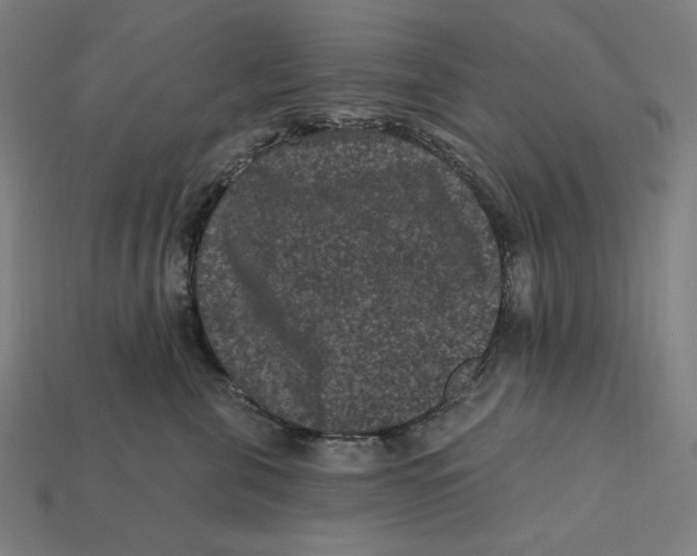 X0000112420571200909111012