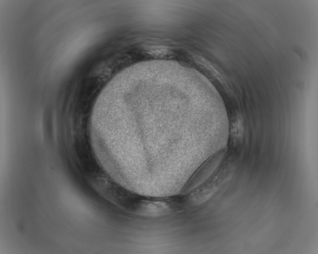 X0000112420572200909111012