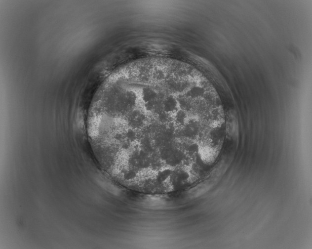 X0000112420573200909111012