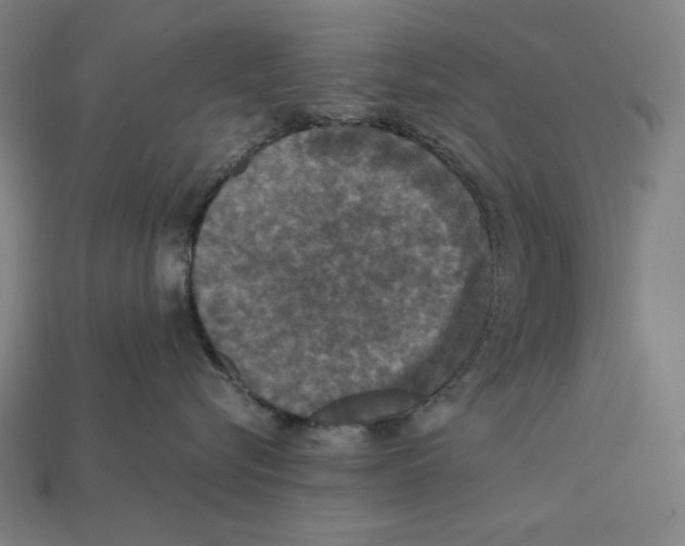 X0000112420576200909111012