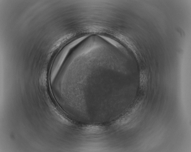 X0000112420581200909111012