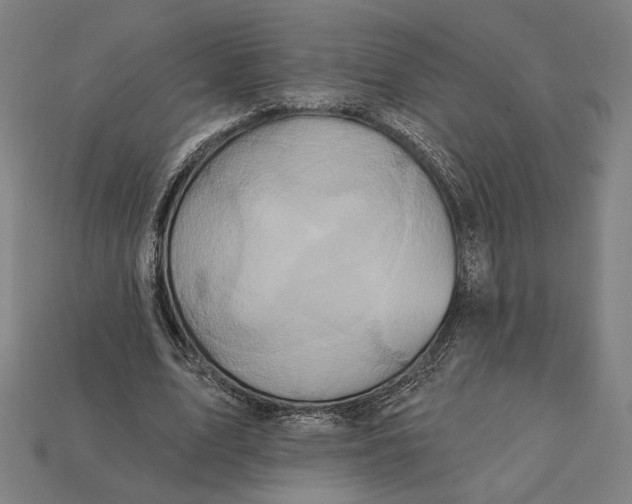 X0000112420583200909111012