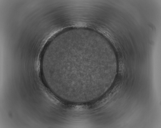 X0000112420584200909111012