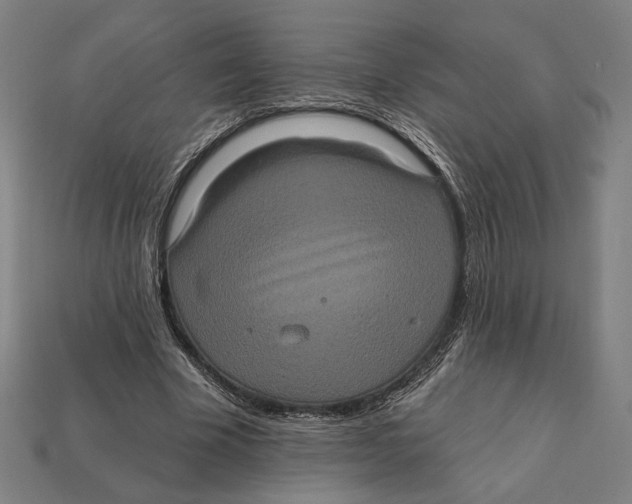 X0000112420585200909111012