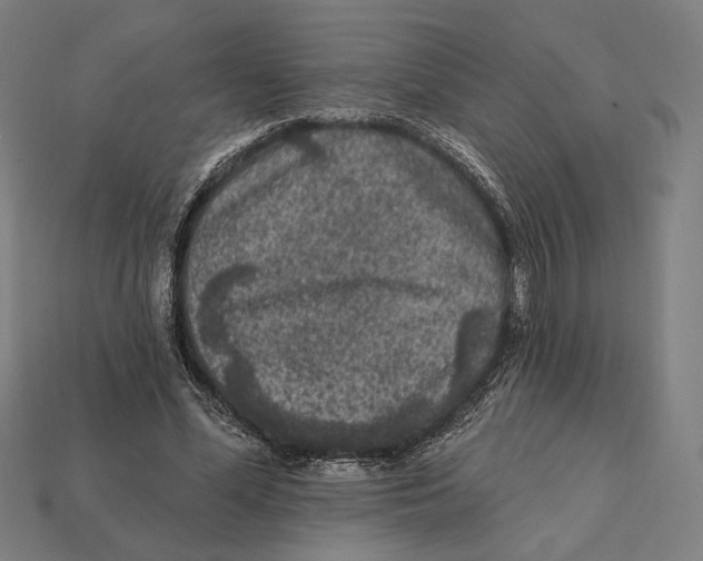 X0000112420588200909111012