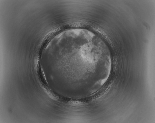 X0000112420590200909111011