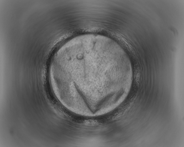 X0000112420591200909111011