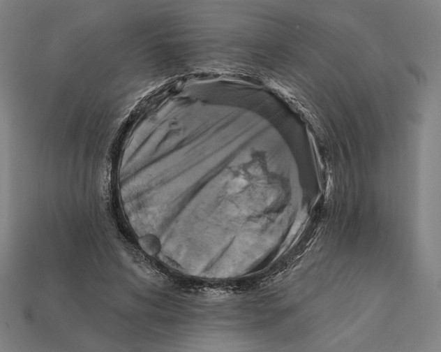 X0000112420592200909111011