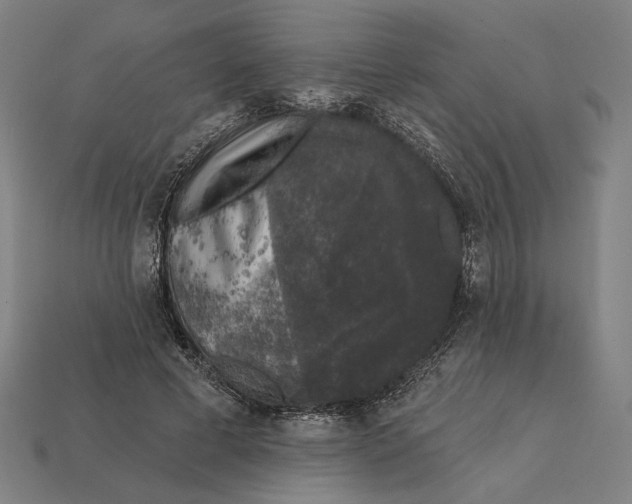 X0000112420593200909111011