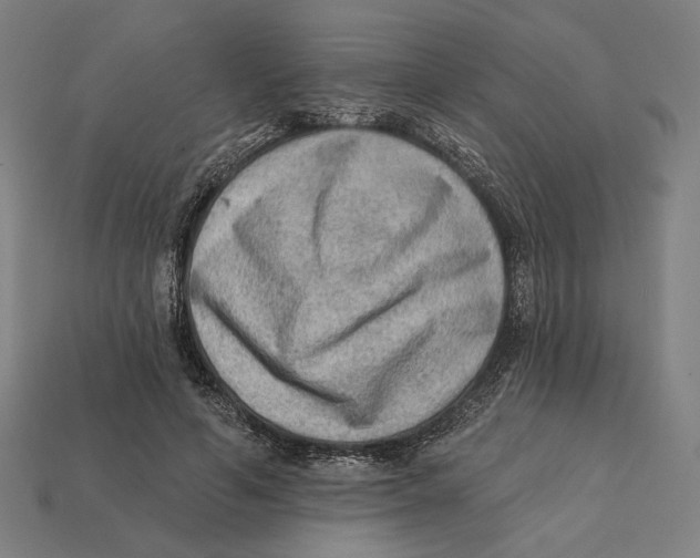 X0000112420594200909111011