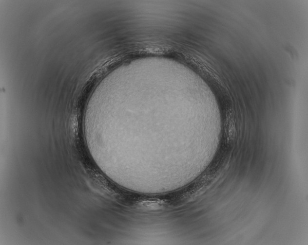 X0000112420595200909111011