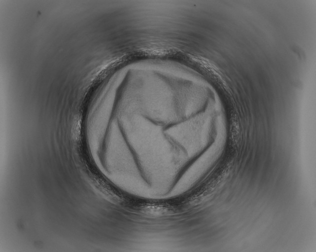 X0000112420596200909111011