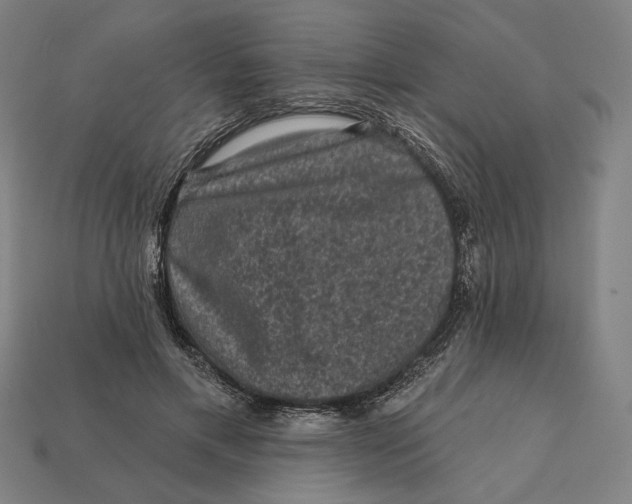 X0000112420597200909111011