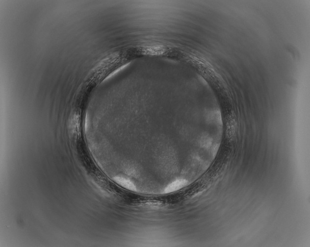 X0000112420598200909111011