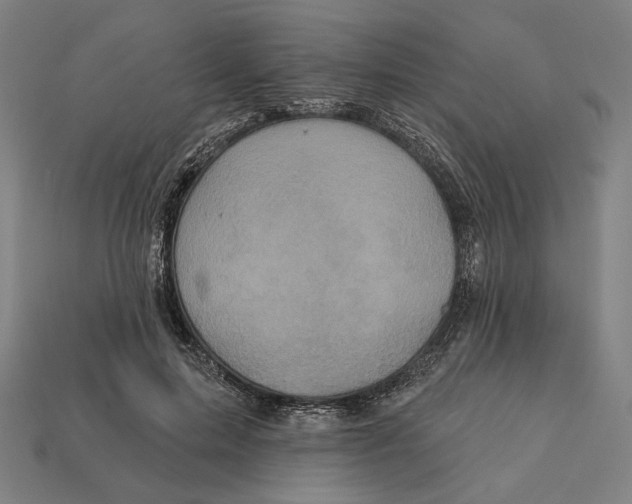 X0000112420599200909111011