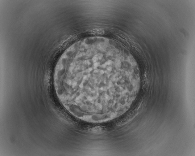 X0000112420600200909111011