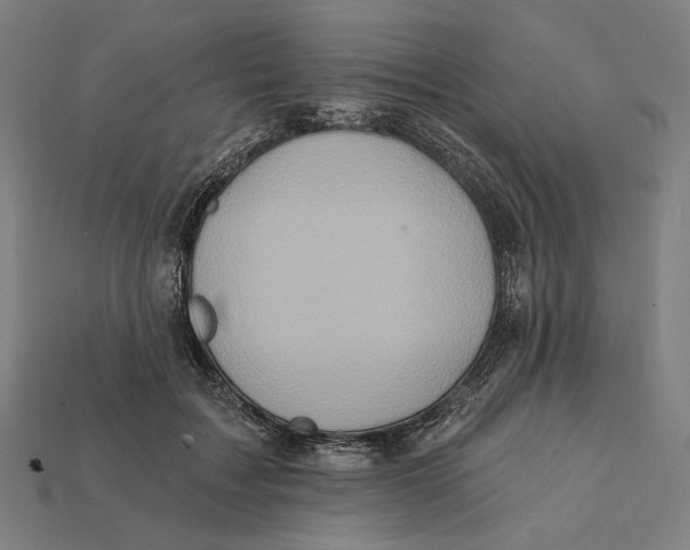 X0000112420603200909111011