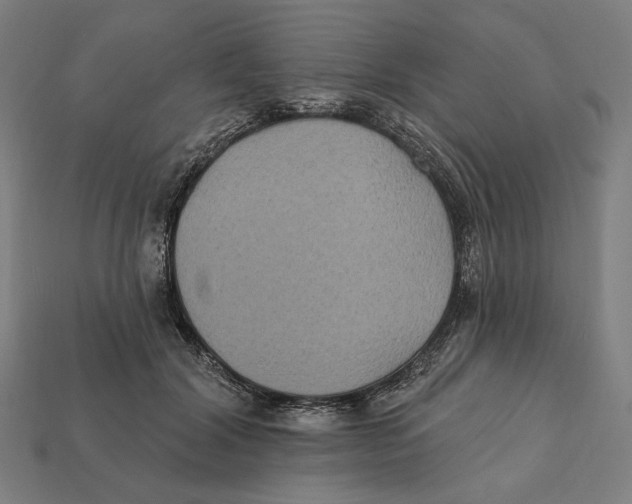 X0000112420604200909111011