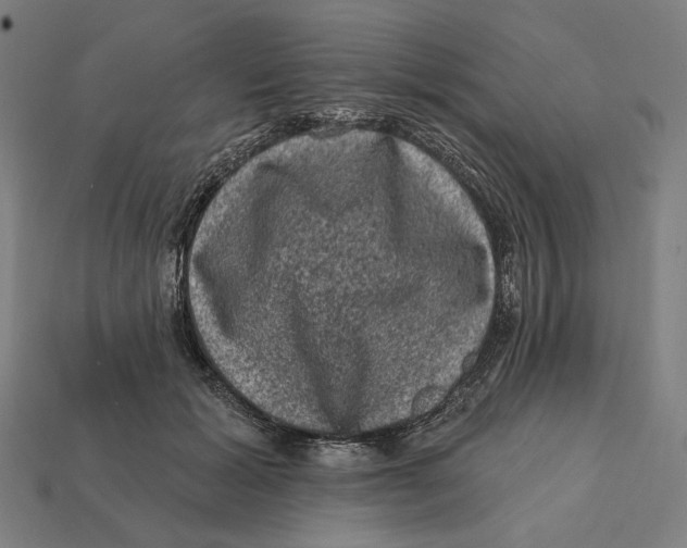 X0000112420605200909111011