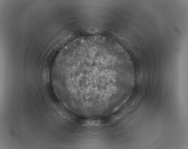 X0000112420606200909111011