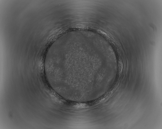 X0000112420609200909111011