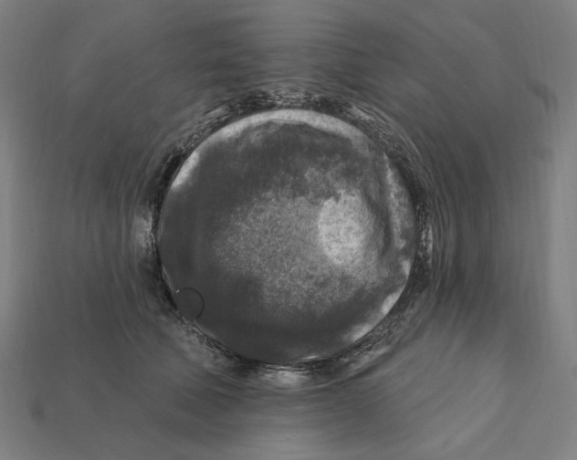 X0000112420610200909111011