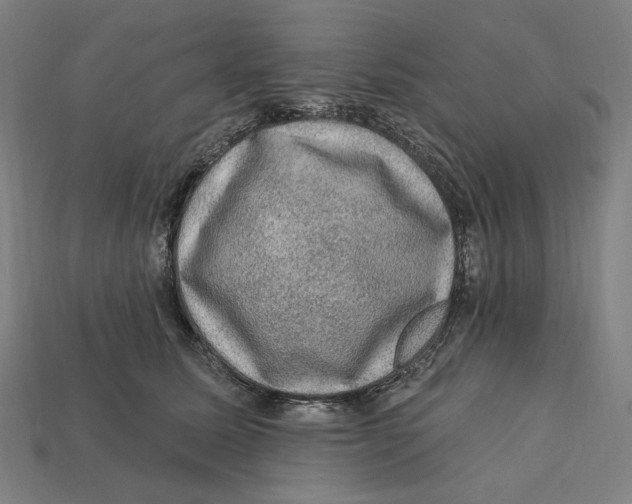 X0000112420611200909111011