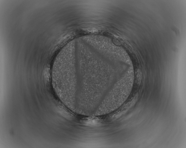 X0000112420612200909111011