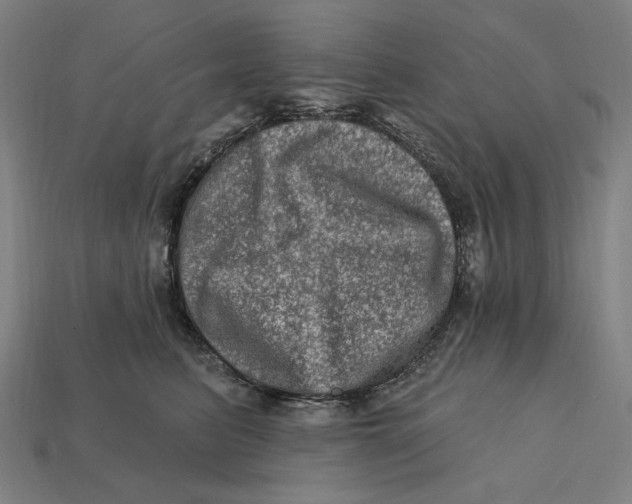 X0000112420615200909111011