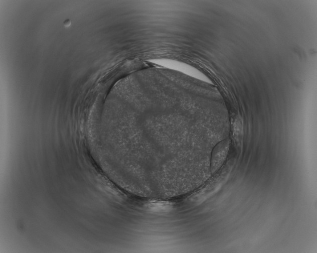 X0000112420617200909111011