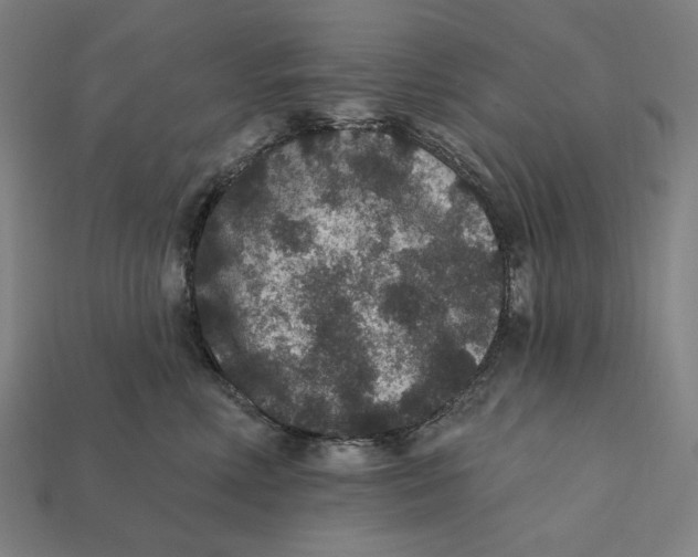 X0000112420618200909111011