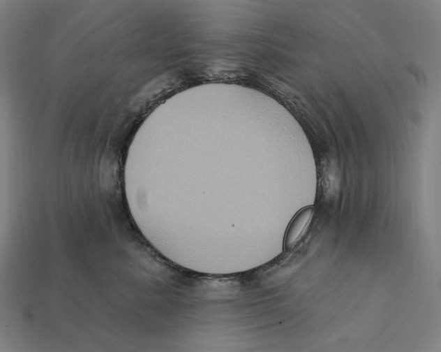 X0000112420619200909111011